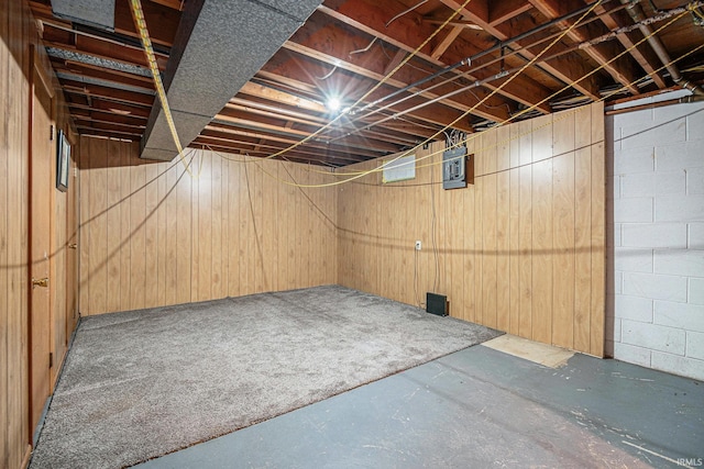 basement featuring wooden walls