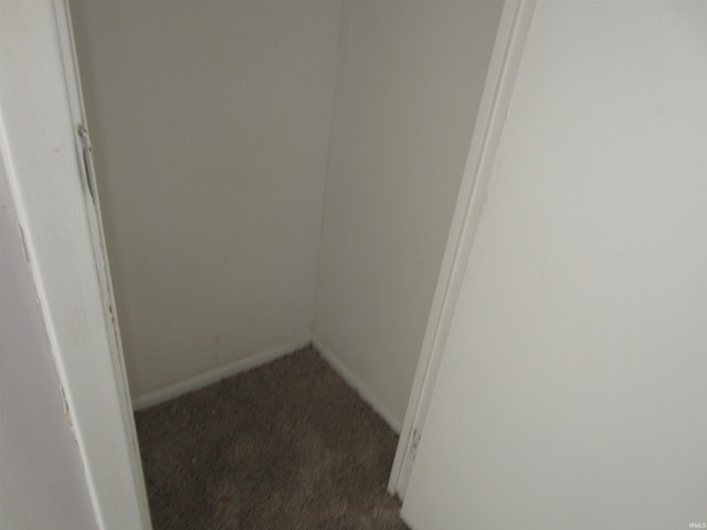 spacious closet with dark carpet