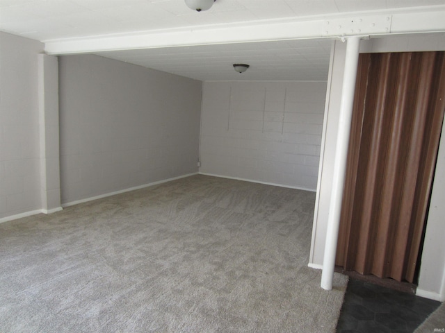 interior space with carpet floors