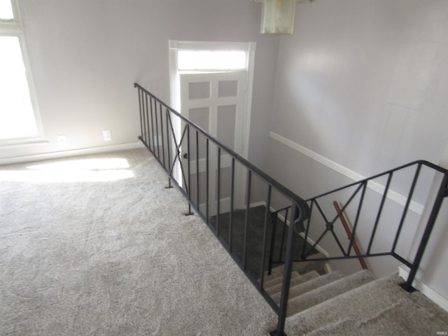 stairway with carpet floors