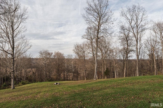 view of landscape