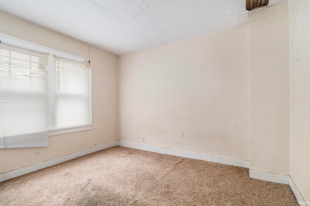 spare room featuring carpet and plenty of natural light