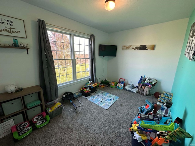 playroom featuring carpet floors