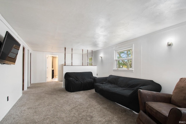 living room featuring carpet flooring