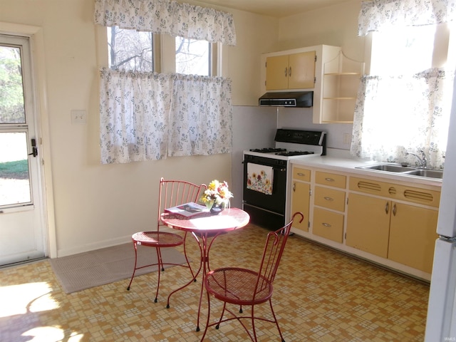 kitchen featuring sink and white range with gas stovetop