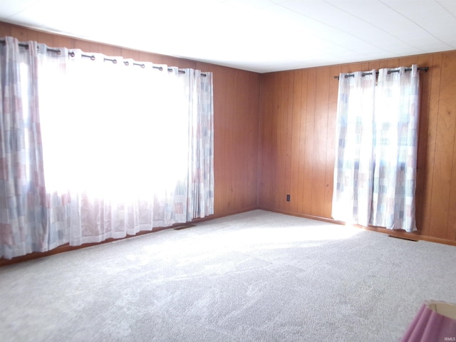 empty room featuring carpet flooring and wooden walls