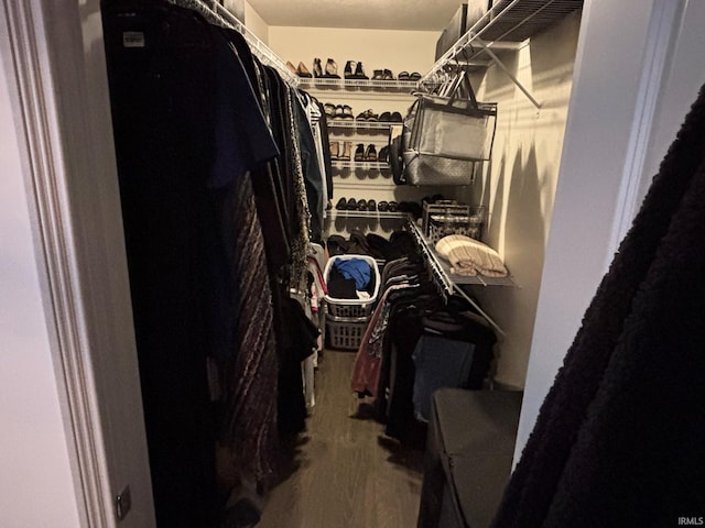 spacious closet with wood-type flooring