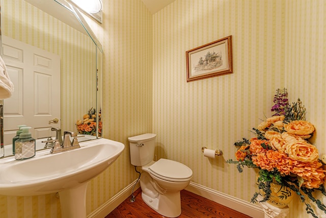 bathroom with wood-type flooring, toilet, and sink