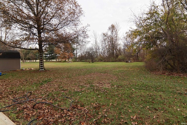 view of yard with a storage shed