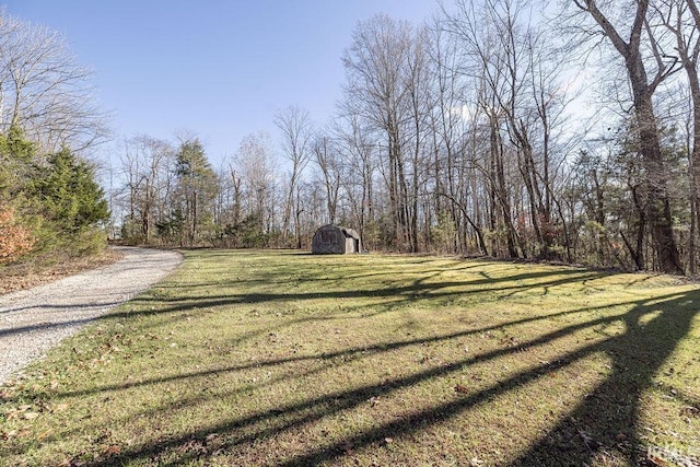 view of yard featuring a storage unit