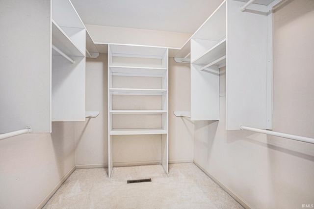 spacious closet with light carpet