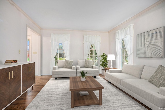 living room with dark hardwood / wood-style flooring and crown molding