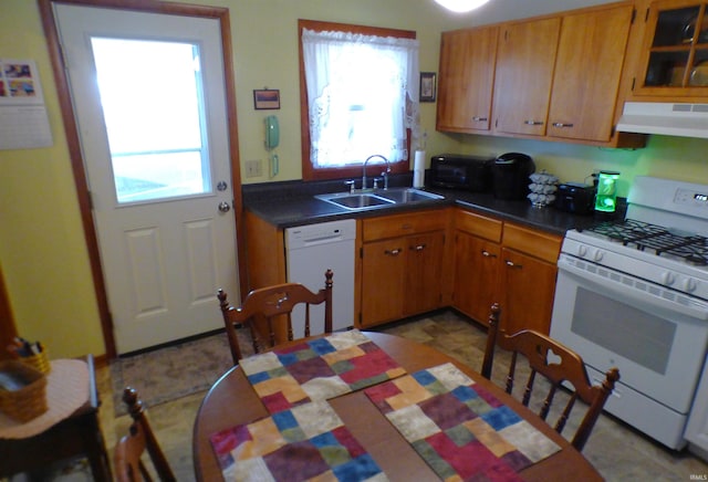 kitchen featuring a healthy amount of sunlight, white appliances, sink, and range hood