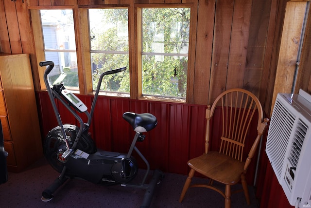 exercise room with wooden walls