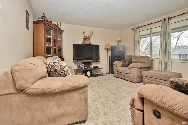 living room featuring carpet flooring and a textured ceiling