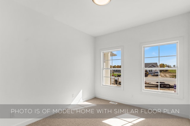 carpeted spare room with plenty of natural light