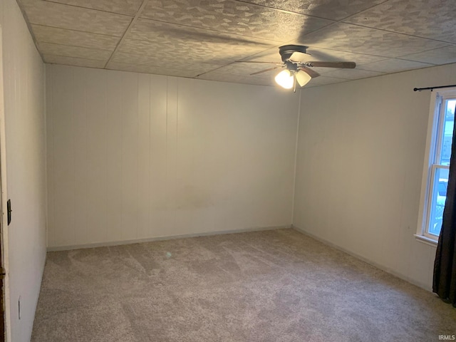 carpeted spare room with ceiling fan and a drop ceiling