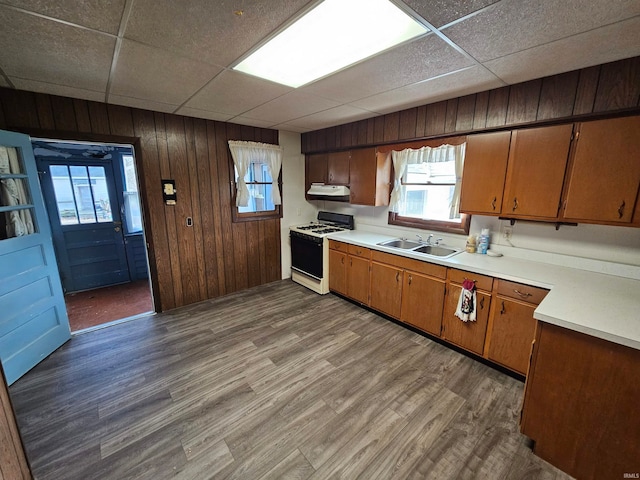 kitchen with hardwood / wood-style floors, a paneled ceiling, sink, wooden walls, and gas range gas stove