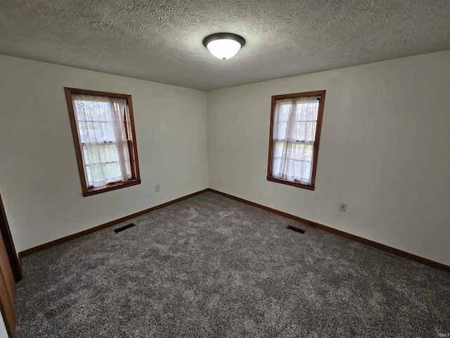 carpeted empty room featuring plenty of natural light and a textured ceiling