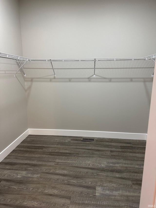 spacious closet featuring dark wood-type flooring