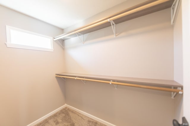 spacious closet featuring carpet floors