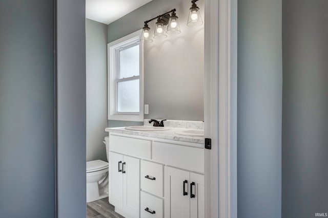 bathroom with vanity, wood-type flooring, and toilet