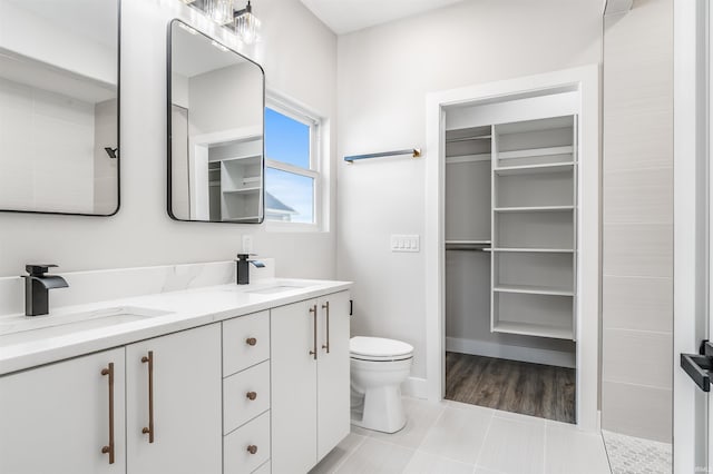 bathroom with vanity, hardwood / wood-style flooring, and toilet