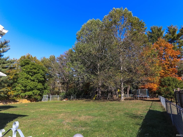 view of yard featuring a trampoline