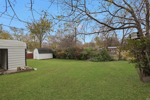 view of yard featuring a storage shed