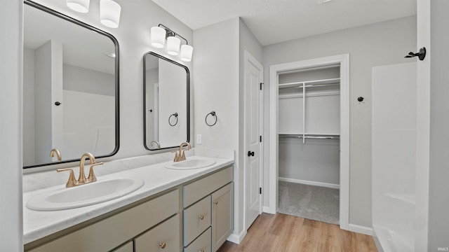 bathroom with wood-type flooring and vanity