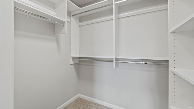 spacious closet with carpet floors