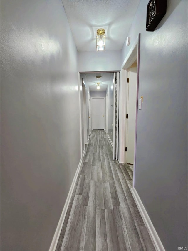 corridor with wood-type flooring