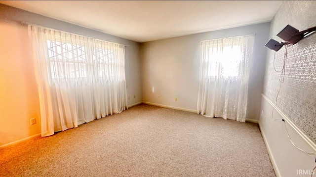 empty room featuring carpet and plenty of natural light