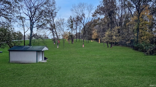 view of yard with a shed