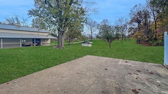 view of yard with a patio area and a shed