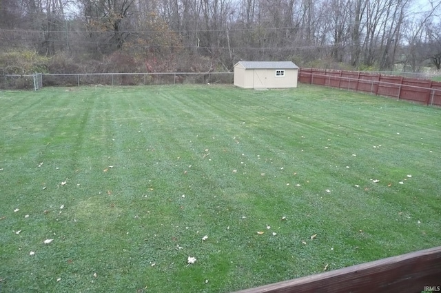 view of yard featuring a shed