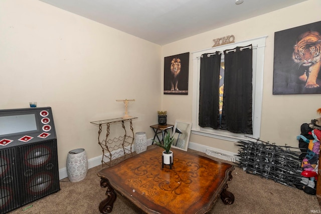 sitting room with carpet