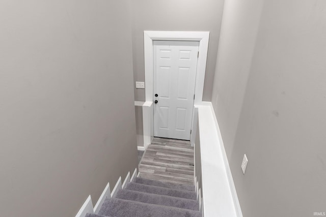 stairs featuring hardwood / wood-style flooring