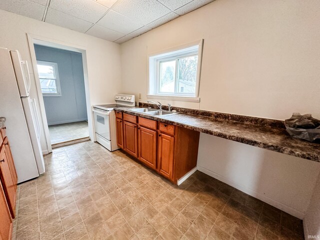 kitchen with white appliances, a drop ceiling, plenty of natural light, and sink