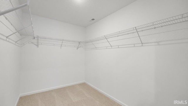 spacious closet with carpet flooring