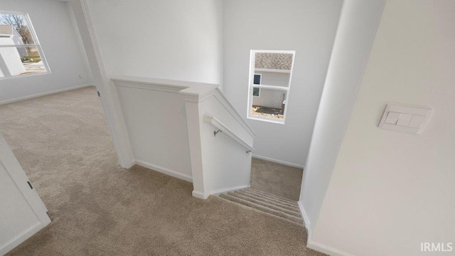 stairs with carpet floors