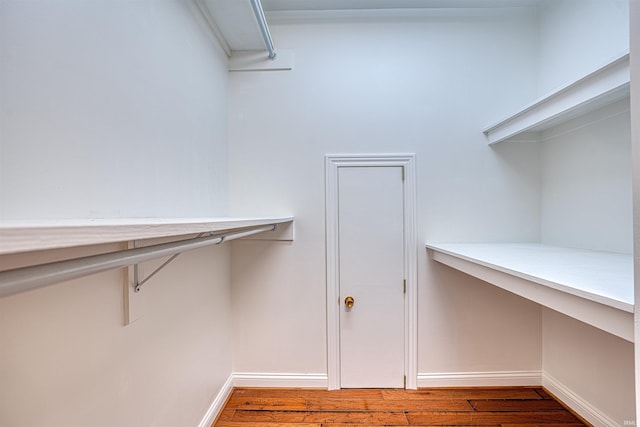 spacious closet with hardwood / wood-style floors