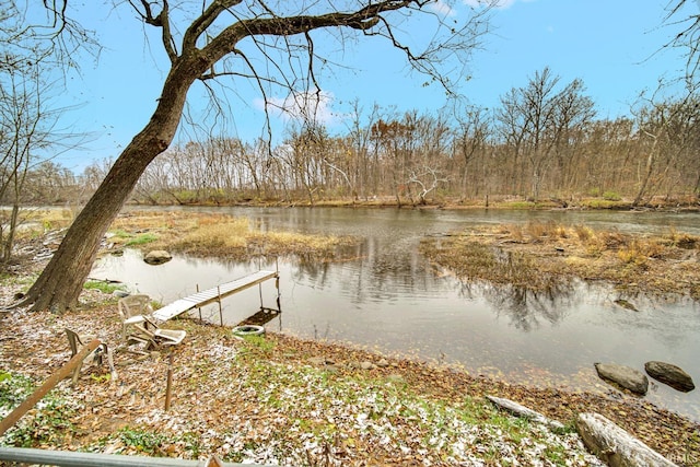 view of dock with a water view