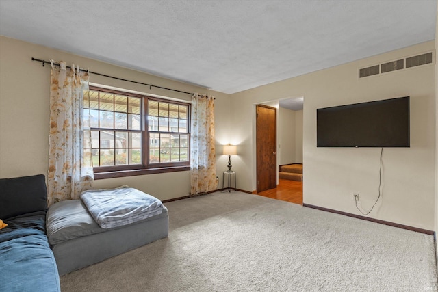 carpeted living room with a textured ceiling