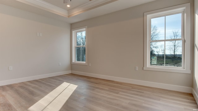 empty room featuring crown molding, light hardwood / wood-style flooring, and a raised ceiling