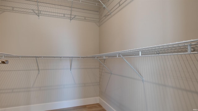 spacious closet featuring hardwood / wood-style floors