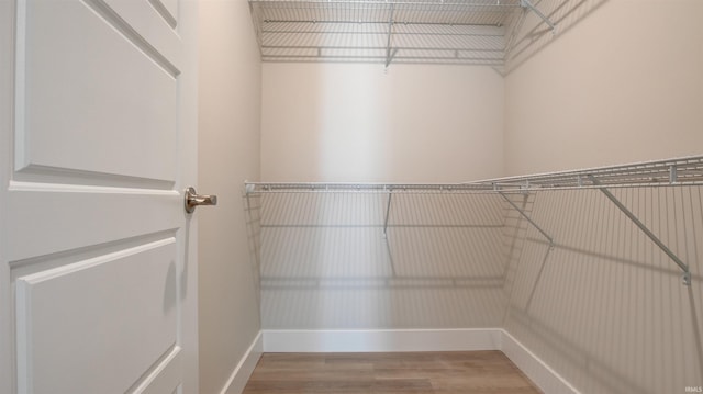 spacious closet featuring wood-type flooring