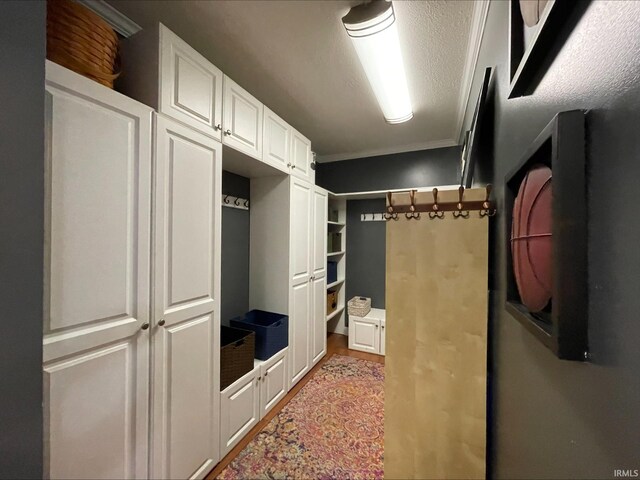 415 W 060 N, Lagrange, IN 46761 - mudroom featuring light wood-style flooring and ornamental molding