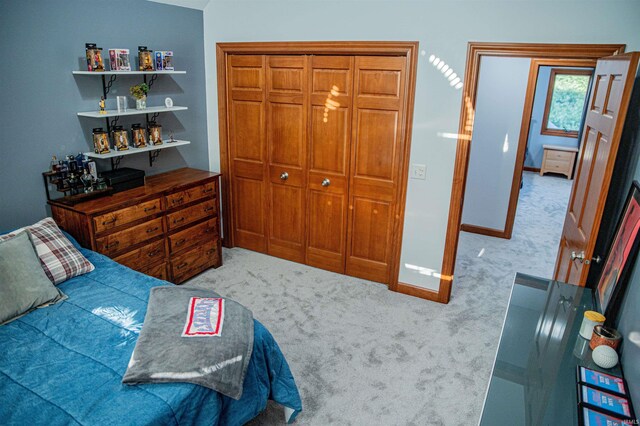 415 W 060 N, Lagrange, IN 46761 - carpeted bedroom with baseboards and a closet
