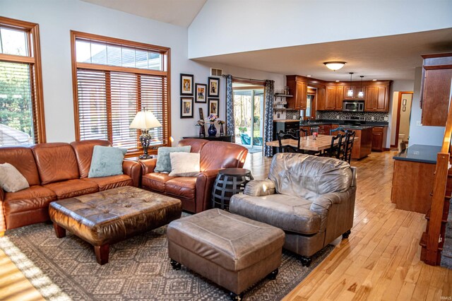 415 W 060 N, Lagrange, IN 46761 - living room with light wood-type flooring, plenty of natural light, and high vaulted ceiling